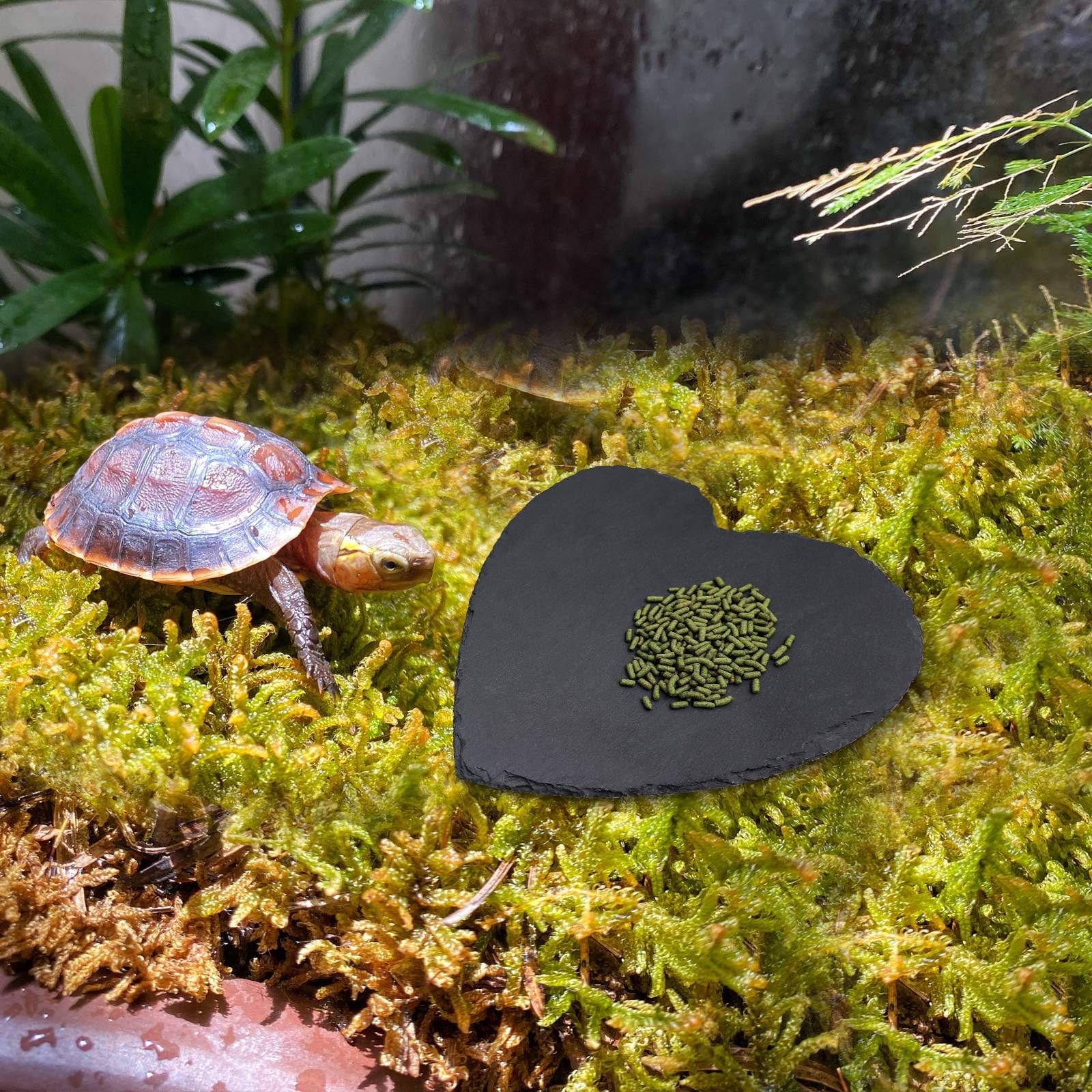 Dnoifne Reptile Basking Platform - 20 × 20 cm Heart-Shaped Natural Rock Feeding Dish - Image 2