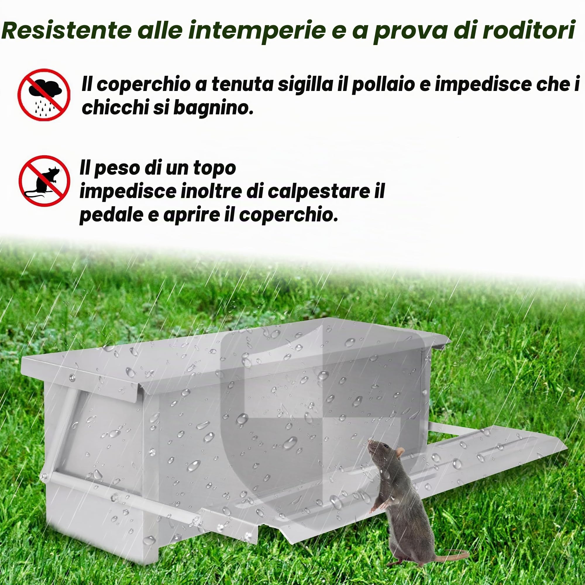Mangiatoia automatica per polli in acciaio zincato, mangiatoia automatica con pedale e coperta, impermeabile e a prova di ratti, mangiatoia per pollame