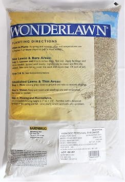 Perennial Ryegrass Grass Seed