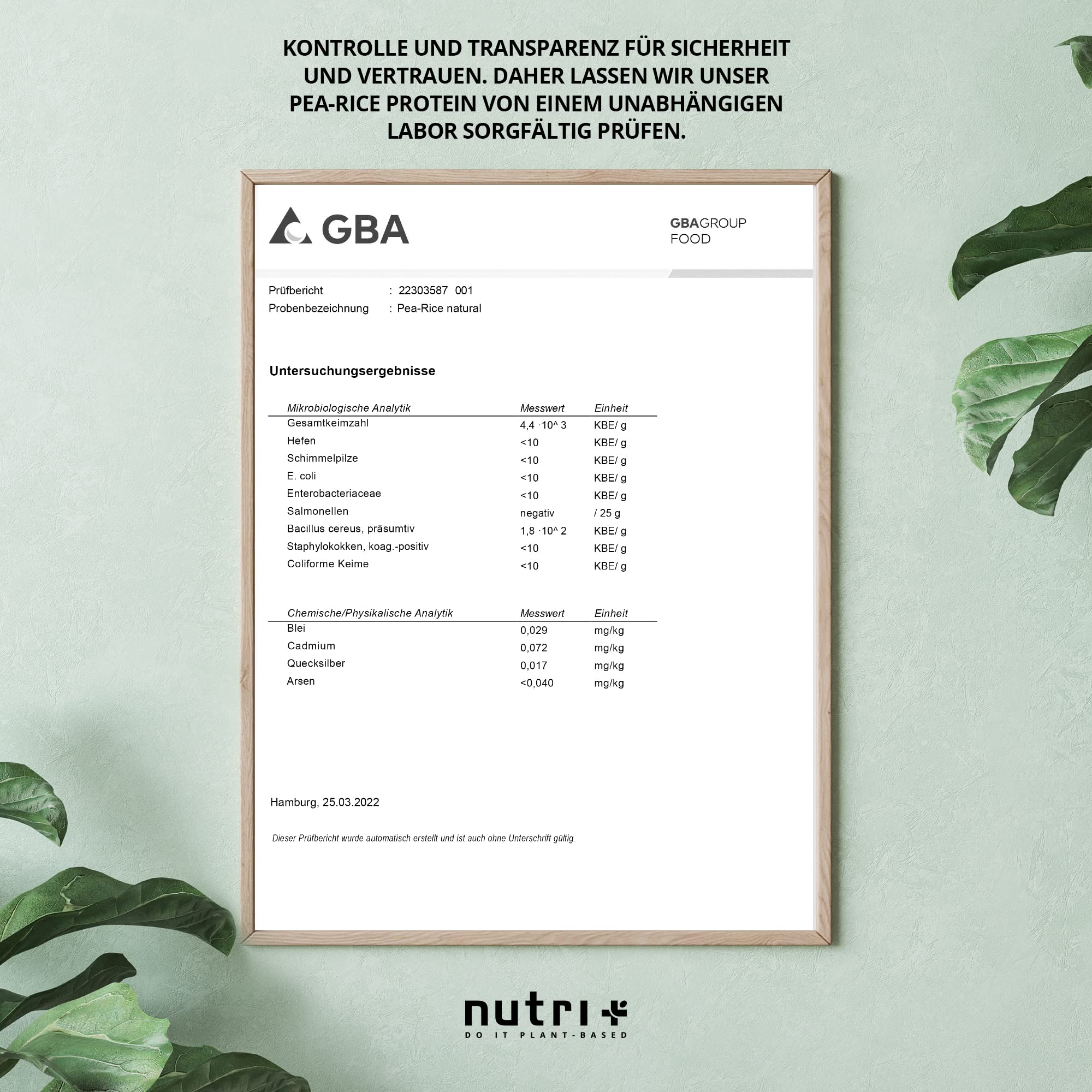 Erbsenproteinpulver - Vanilla Biscuit 1kg - Reiseiweißpulver ohne Soja, Lactose, Gluten & Milch - Eiweiß Pulver Vegan Vanille Biskuit - mit Erbsen-Protein aus deutschem Anbau