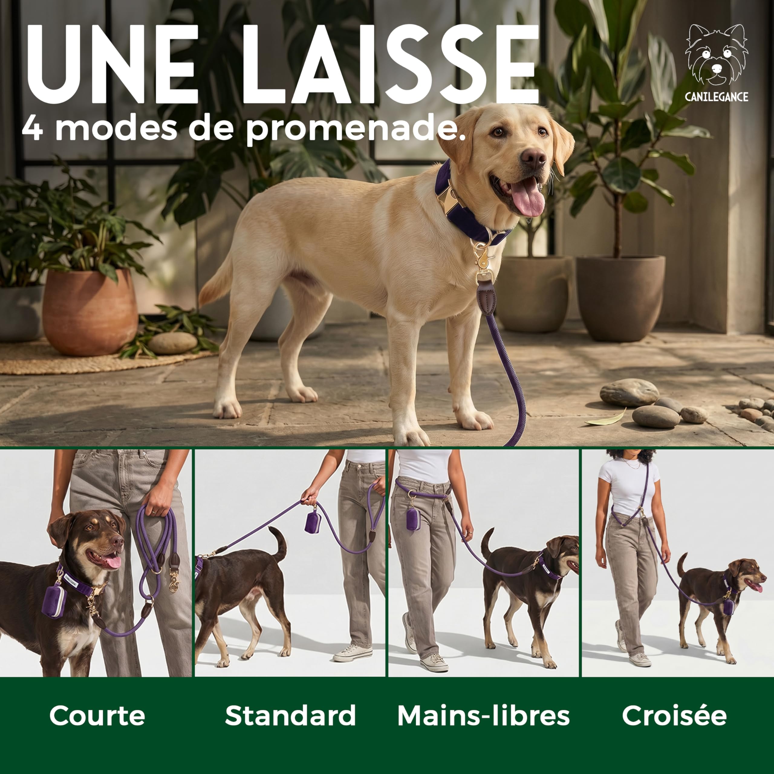 Set de Promenade pour Chien Collier Réglable Laisse 4-en-1 Porte-Sachet Violet Taille L Tour de Cou 39-59 cm Lavable en Machine
