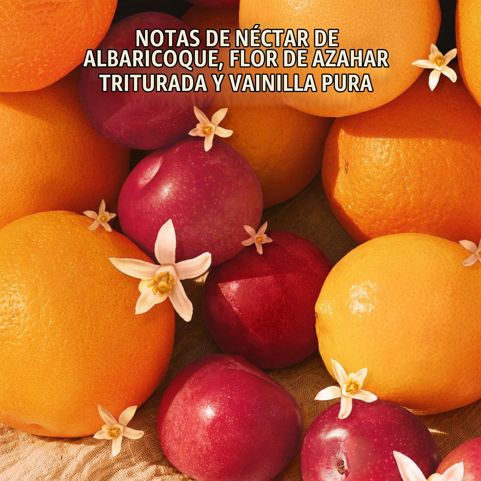 Sol de Janeiro Cheeky Biquíni Cheirosa - Perfume en espray de albaricoque, azahar y vainilla, edición limitada