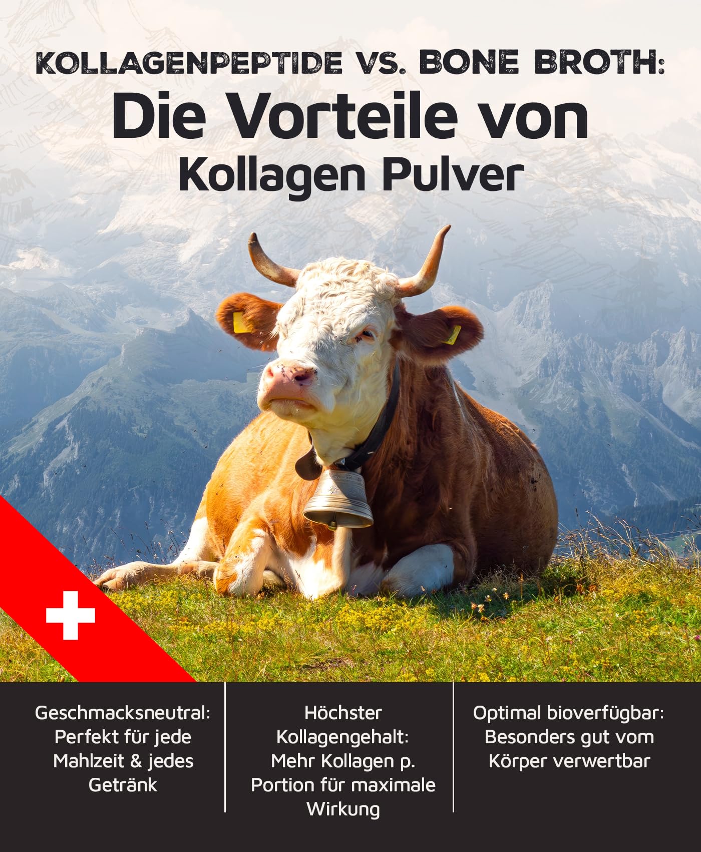 carnivoro Poudre de collagène de bœuf [450 g] - Hydrolysat de collagène de qualité supérieure de Suisse - Peptides de type 1 et 3 - Bonne solubilité - Neutre au goût