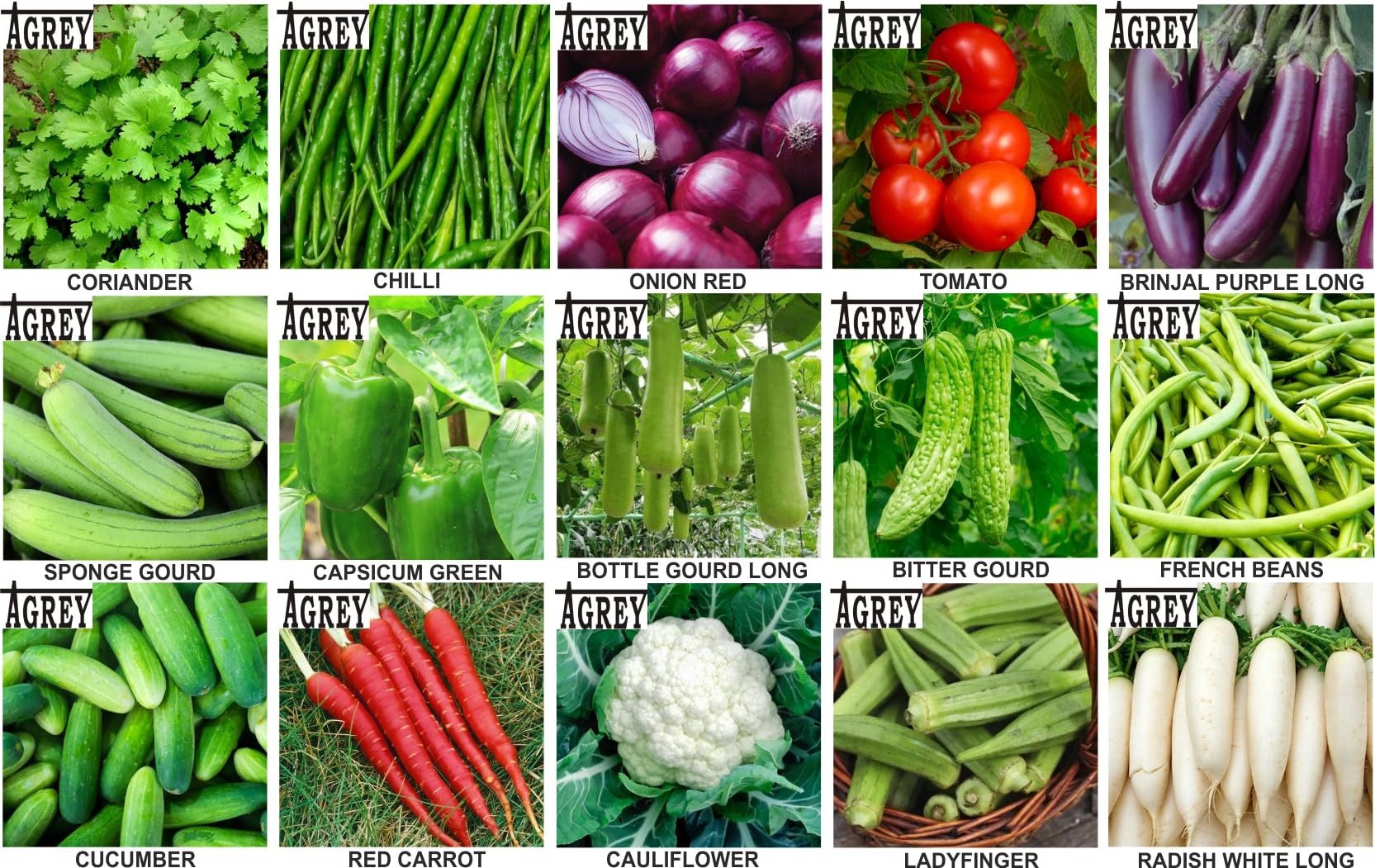 Agrey combo of 15 variety vegetable seeds with manual. (B0CSWPXTPV) Amazon Price History, Amazon Price Tracker