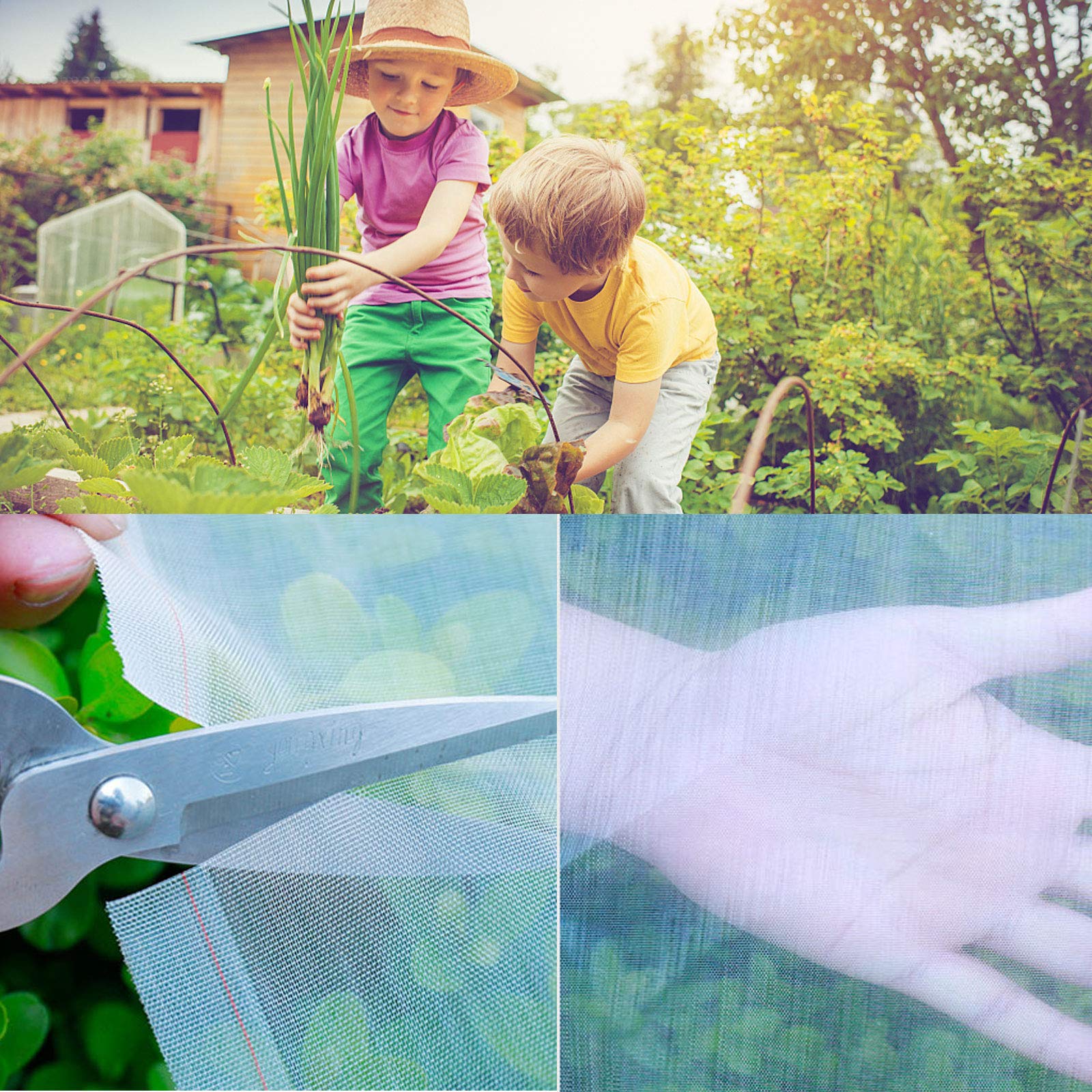 Rete Anti-Insetti Per Orto 11x13m | Maglia Fine Protettiva Per Piante E Frutta | Telo In PE Leggero E Traspirante