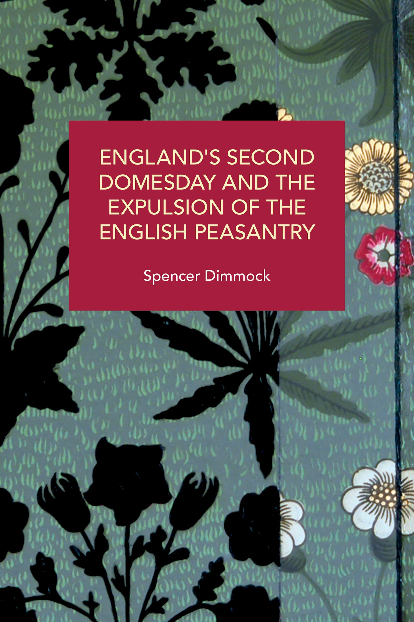 England's Second Domesday and the Expulsion of the English Pe... - 9798888903599