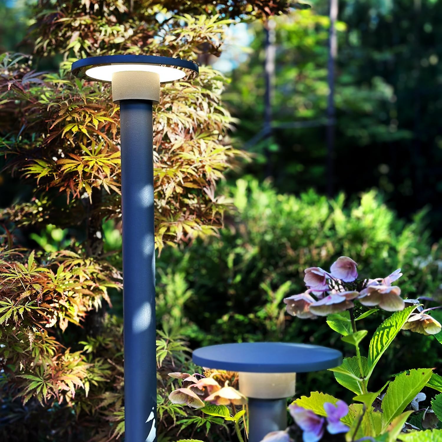 LightsOn Orbit 65 słupków Plug & Play Oświetlenie ogrodowe LED (ciemnoszare): system 12 V, stałe źródło światła i nieoślepiające światło, łatwe do zainstalowania i rozbudowy, do przejść, rabatów i