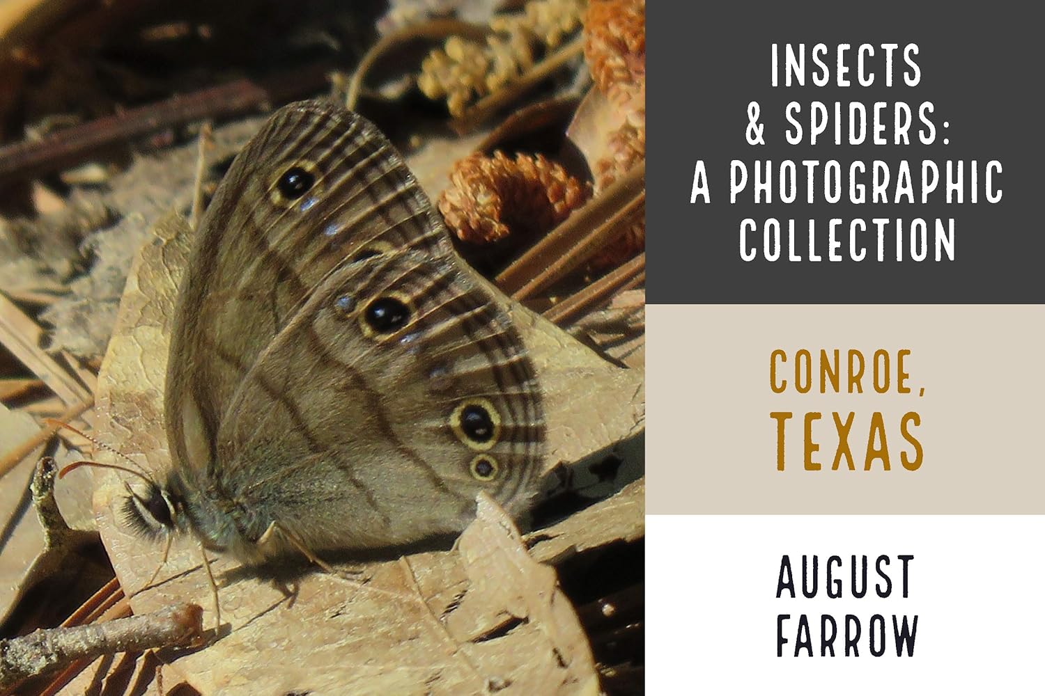 Insects A Photographic Collection William Goodrich (W.G