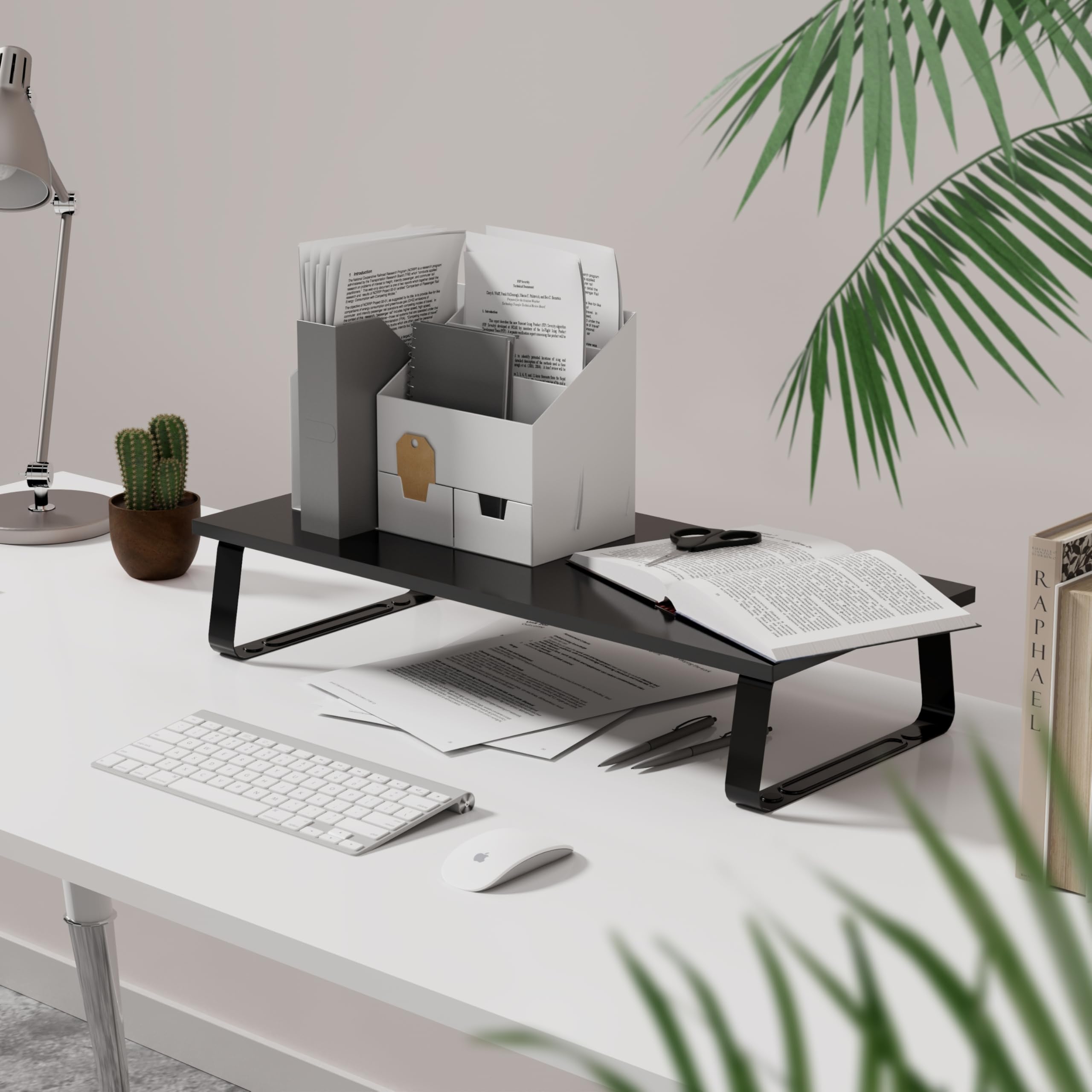 RICOO FS0111 Monitorstandaard voor bureau-opzetstuk, bureau-opzetrek, standaard voor computermonitoren, 60 x 26 x 12 cm, beeldschermverhoging, beeldschermstandaard, laptoptafel, laptoptafel