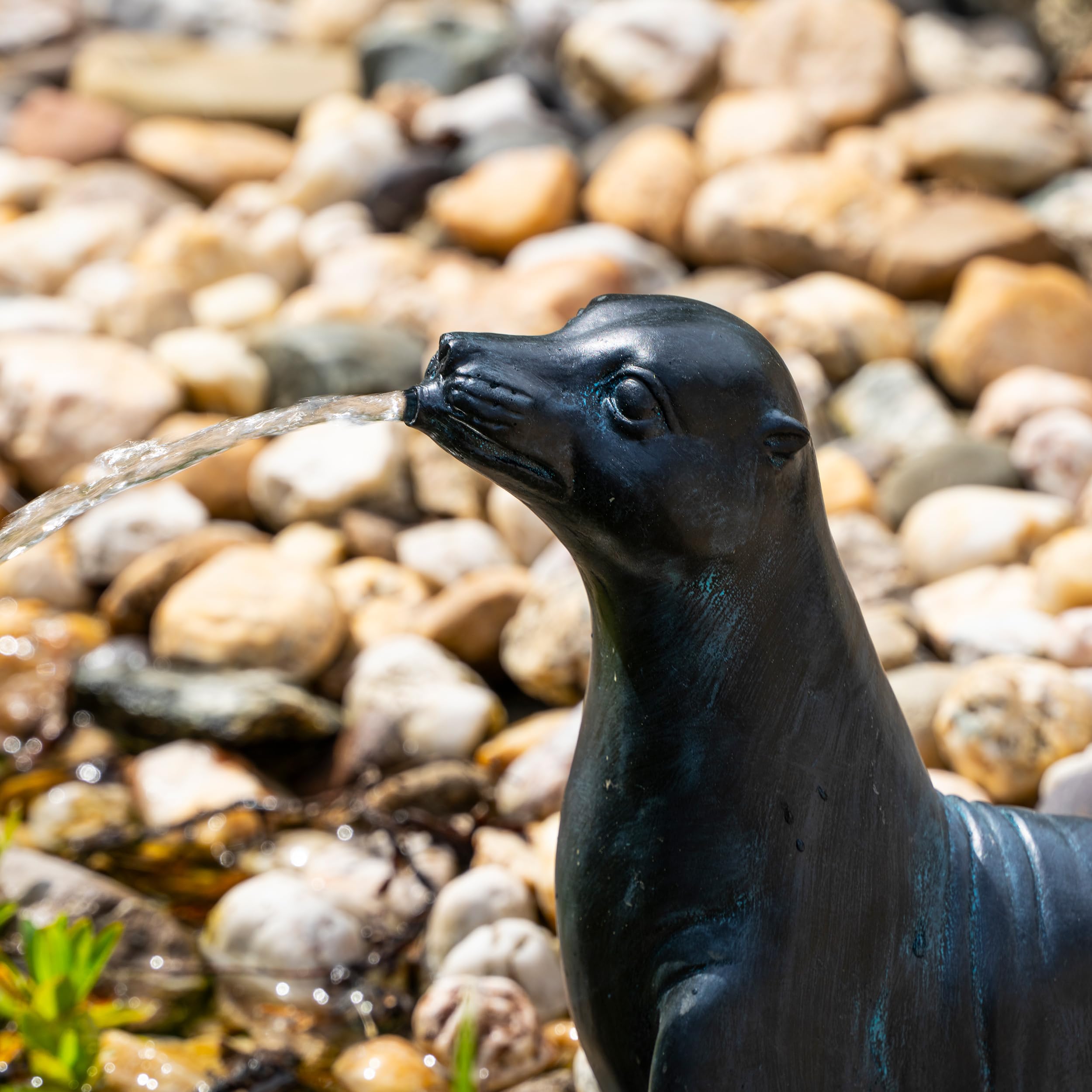 Esotec Solar Wasserspeier Komplettset, Seehund Figur Sammy, Gartenteich Wasserspiel, Vogeltränke, Vogelbad, Gartenbrunnen mit Solarpumpe, 2 Schläuche, H=25cm 101676