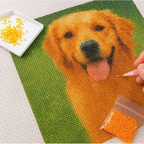 Miniatura 5 de Maydear - Juego de pintura de diamante 5D de bricolaje, pequeño y sencillo para principiantes, con marco blanco para niños, de 6 x 8