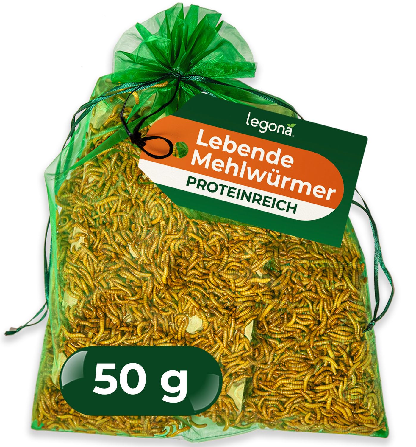 Legona Mehlwürmer lebend 50 g - Futterinsekten für Terrariumtiere und Hühner - Tenebrio Molitor Larven - In Thermobox verpackt, kühl lagerbar