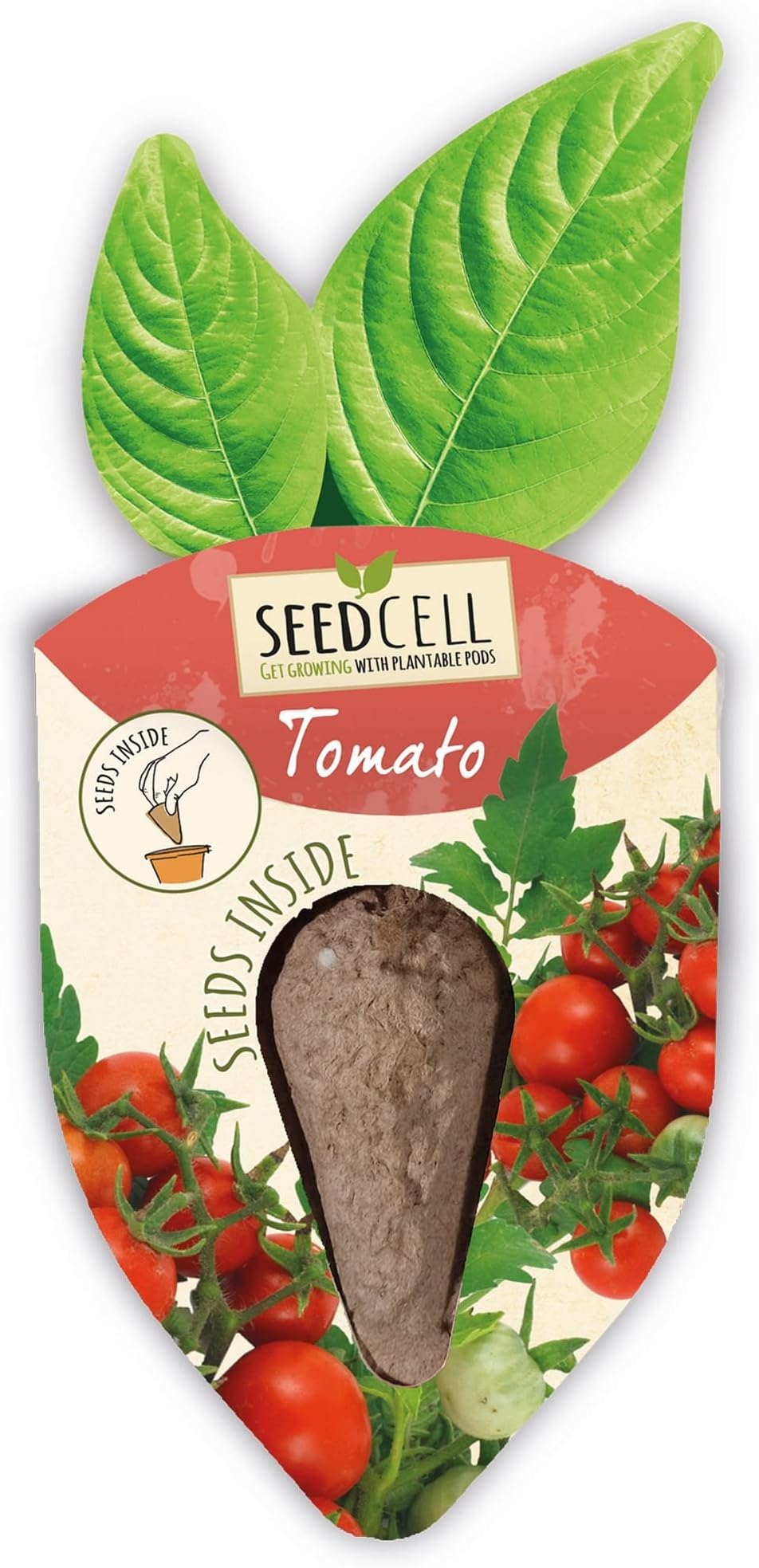 SeedCell Grow Your Own Cherry Tomato