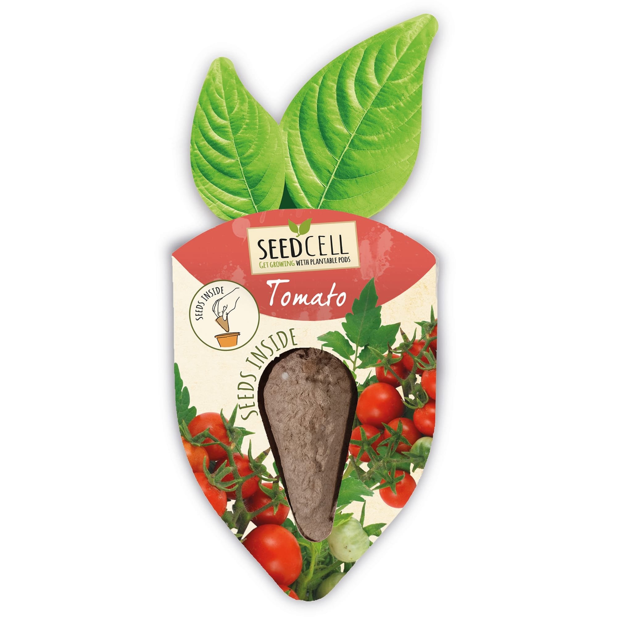 SeedCell Grow Your Own Cherry Tomato