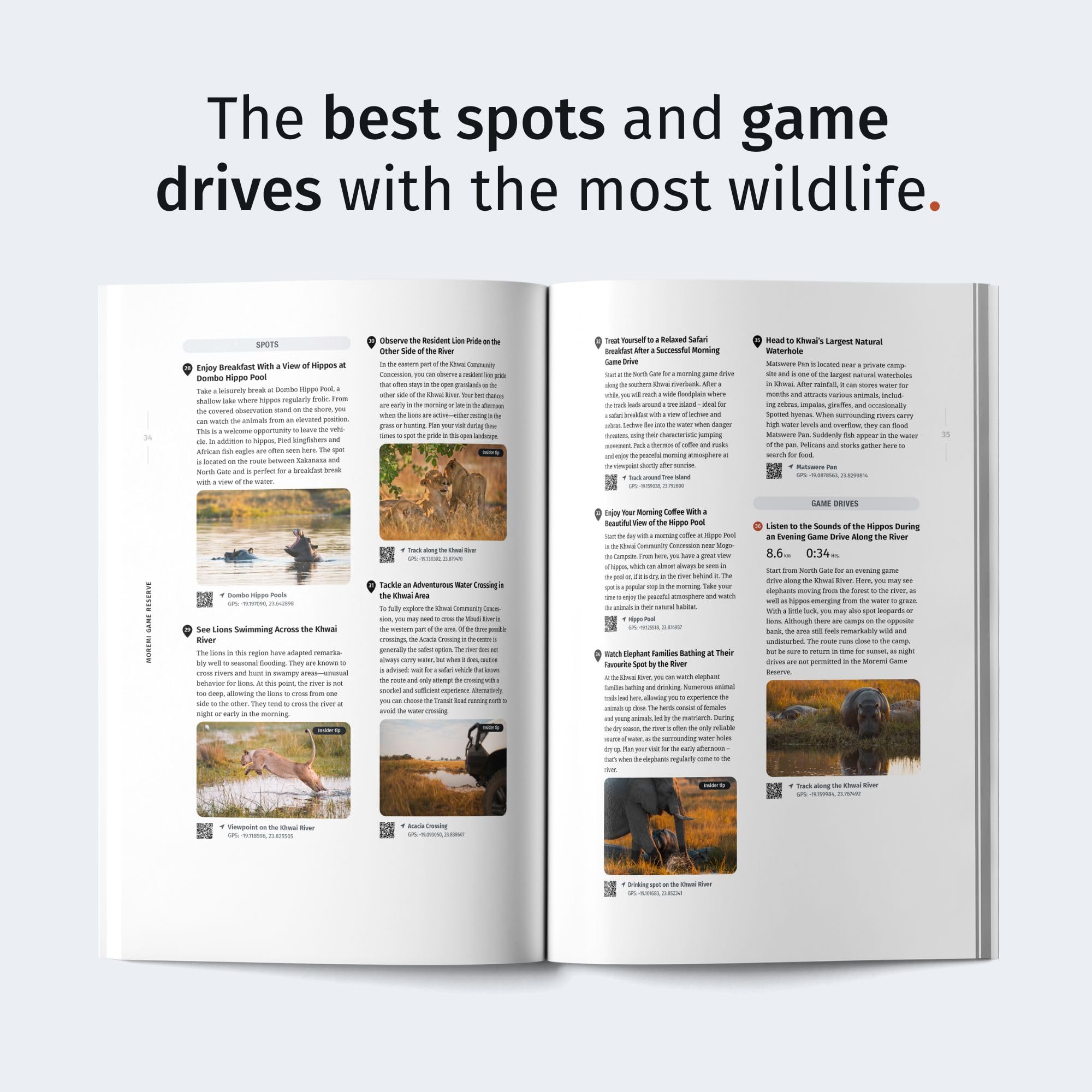 WILDFUL STORIES Wildlife Travel Guide Botswana with the Okavango Delta: Detailed Park Maps for Self-Drivers with Specific Spots and Drives for Unforgettable Wildlife Encounters