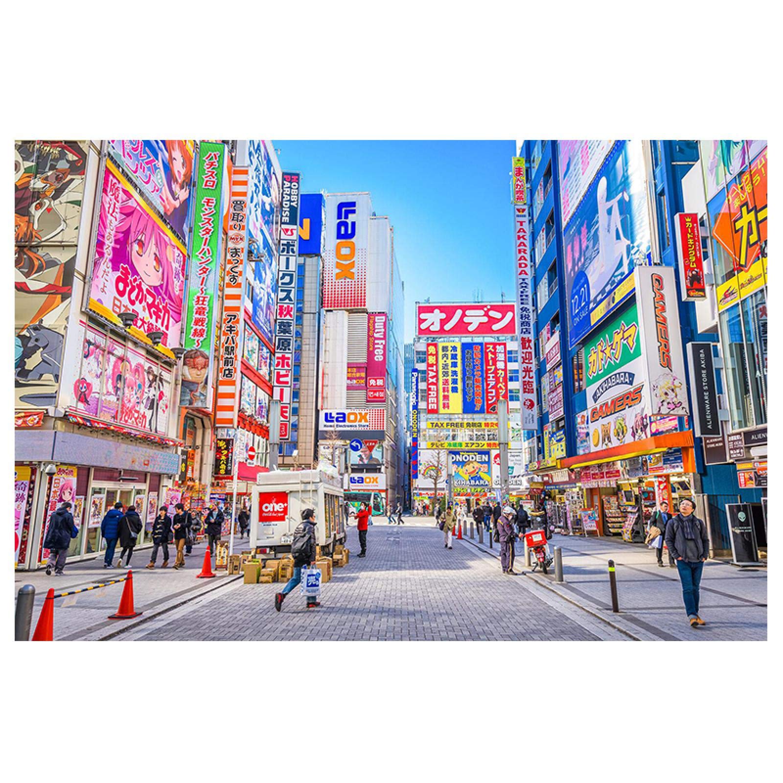 Guying Art Frameless Akihabara Skyline Landscape Poster Wall Art Canvas Printing Japan Street Art Pictures For Living Room Decorations 42X60cm(17X24in)