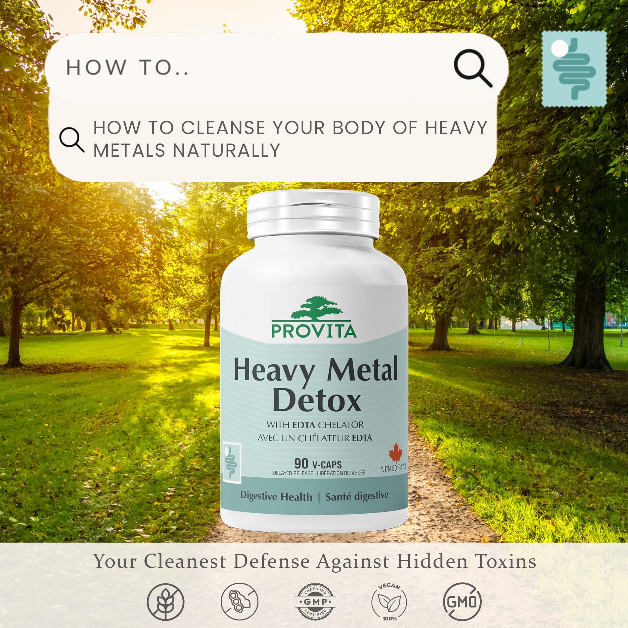 glutathione heavy metal detoxification Heavy metal detoxification mechanisms by microalgae: Insights from  transcriptomics analysis