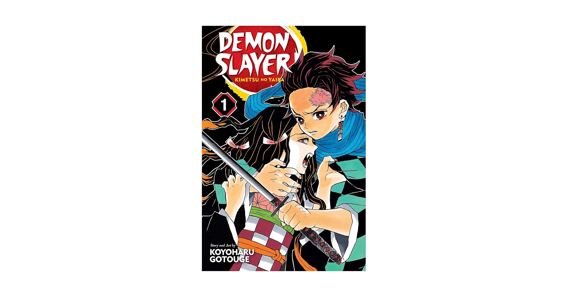 Amazon.com: Demon Slayer: Kimetsu no Yaiba, Vol. 1