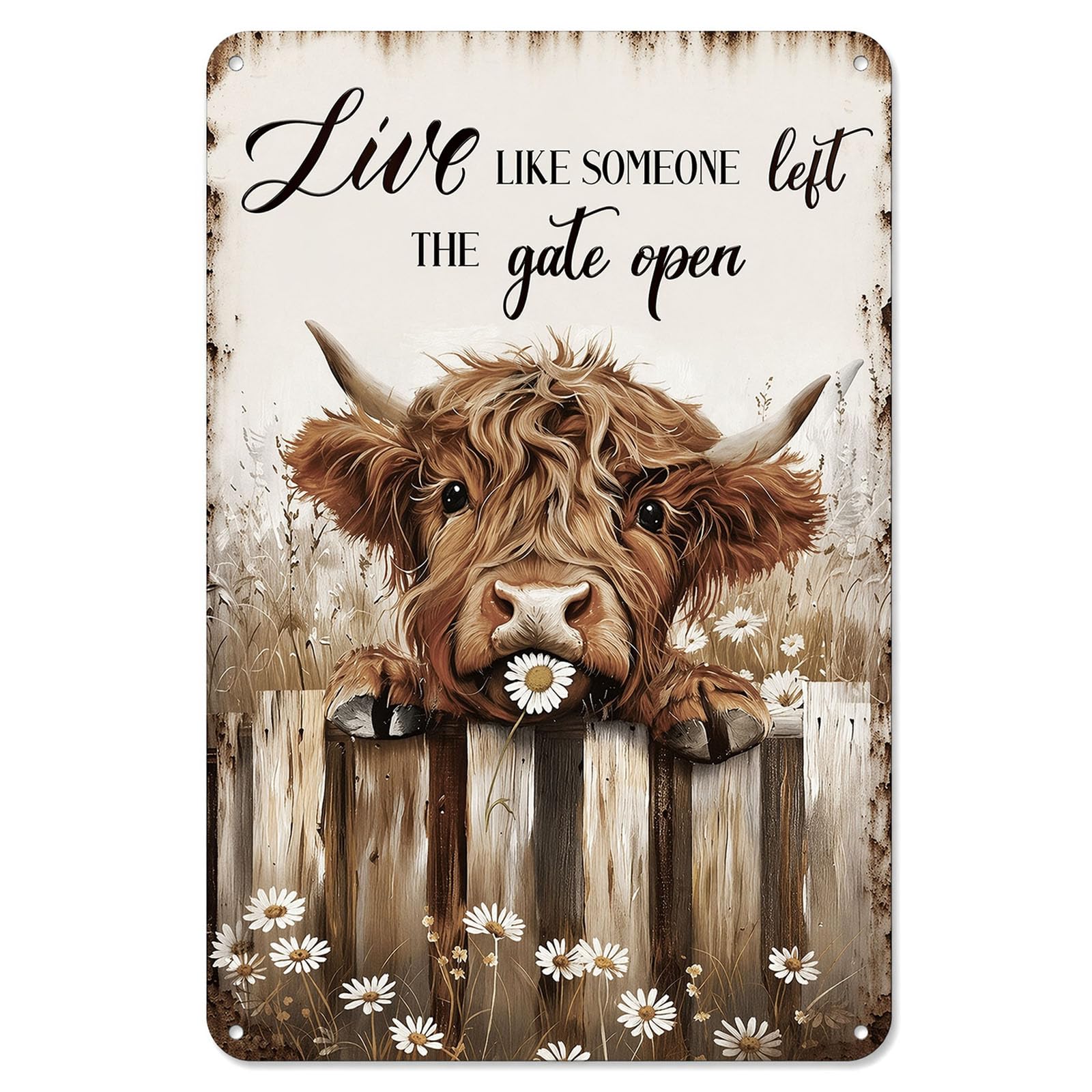 Vintage Highland Cow Wall Decor - Live Like Someone Left The Gate Open Metal Tin Sign, Rustic Farmhouse Kitchen Wall Art, Bathroom Pictures and Decor Accessories (12x8 Inch)