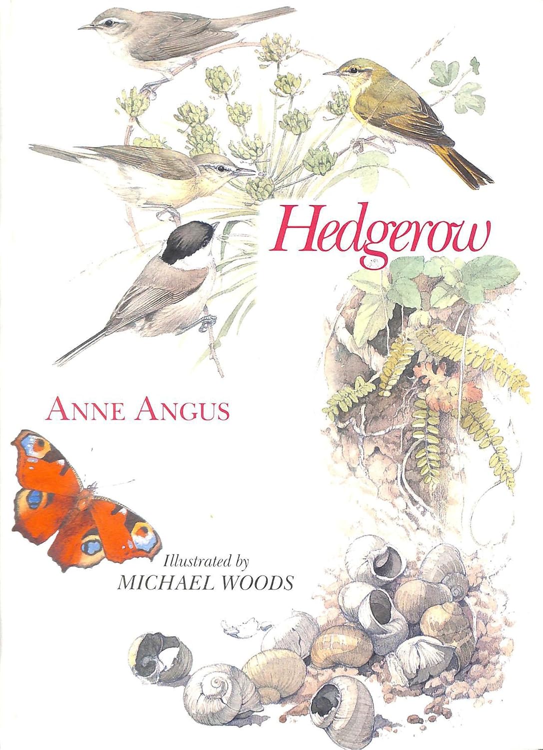 Hedgerow Anne Angus 9781852250072 Books