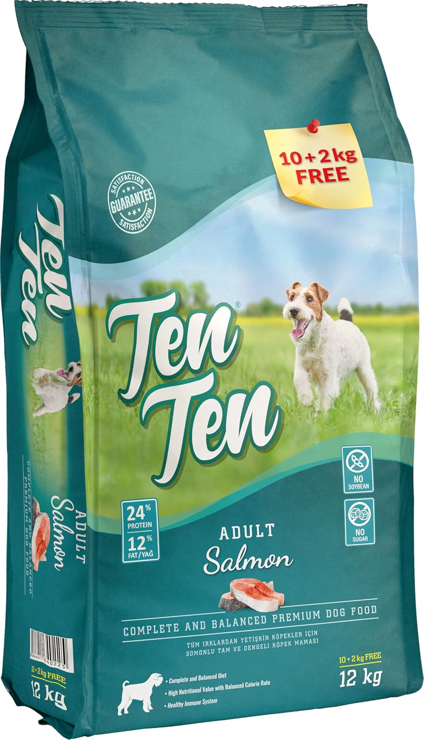 Ten Ten Somonlu Yetişkin Köpek Maması 10+2 KG