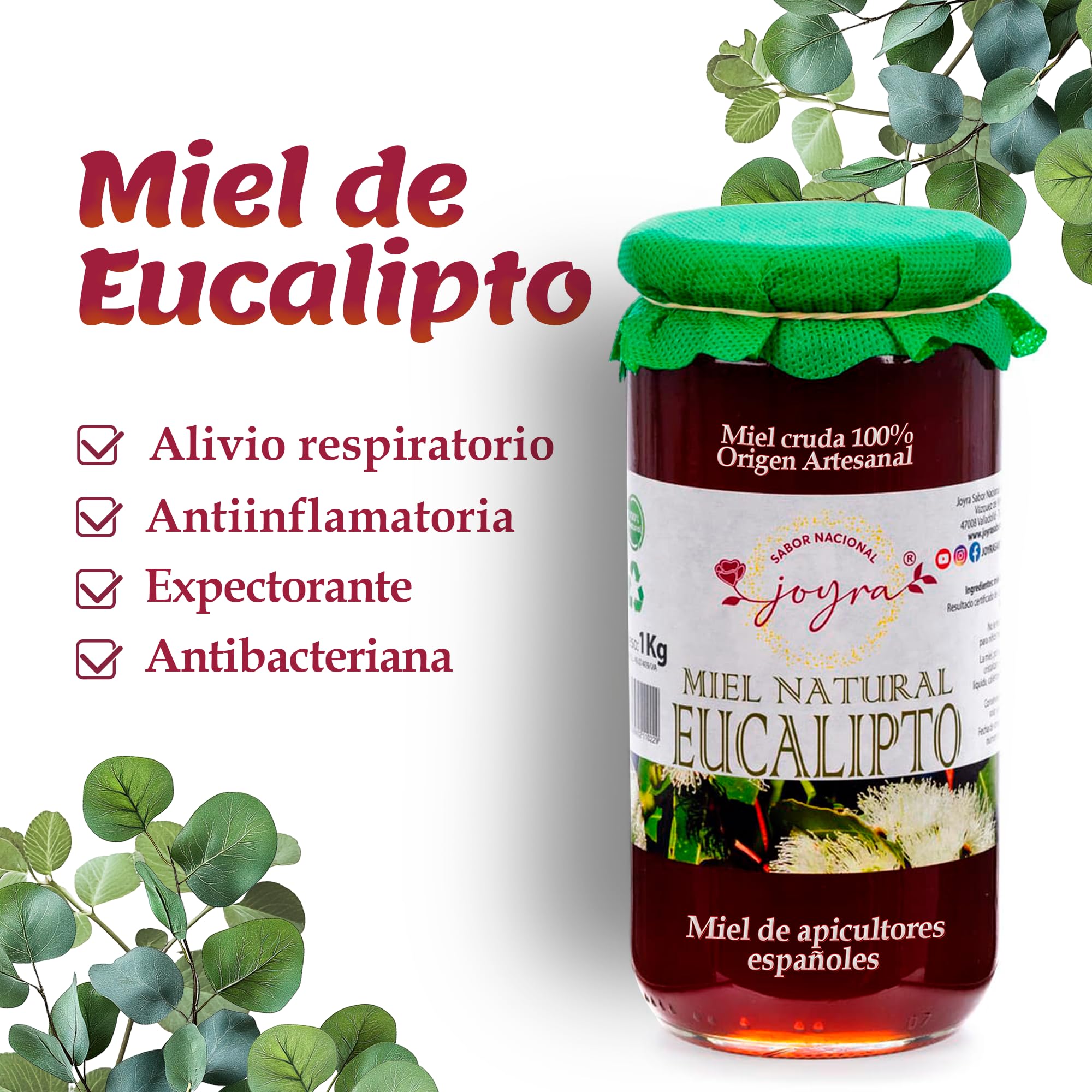 Miel Cruda, 100% MIel Pura de Abeja. Natural y Artesanal. 27 Variedades de sabores, APICULTURA ESPAÑOLA. Sin Pasteurizar, conservan Polen, Enzimas y Antioxidantes. (1 KG, Miel de Eucalipto) - 2
