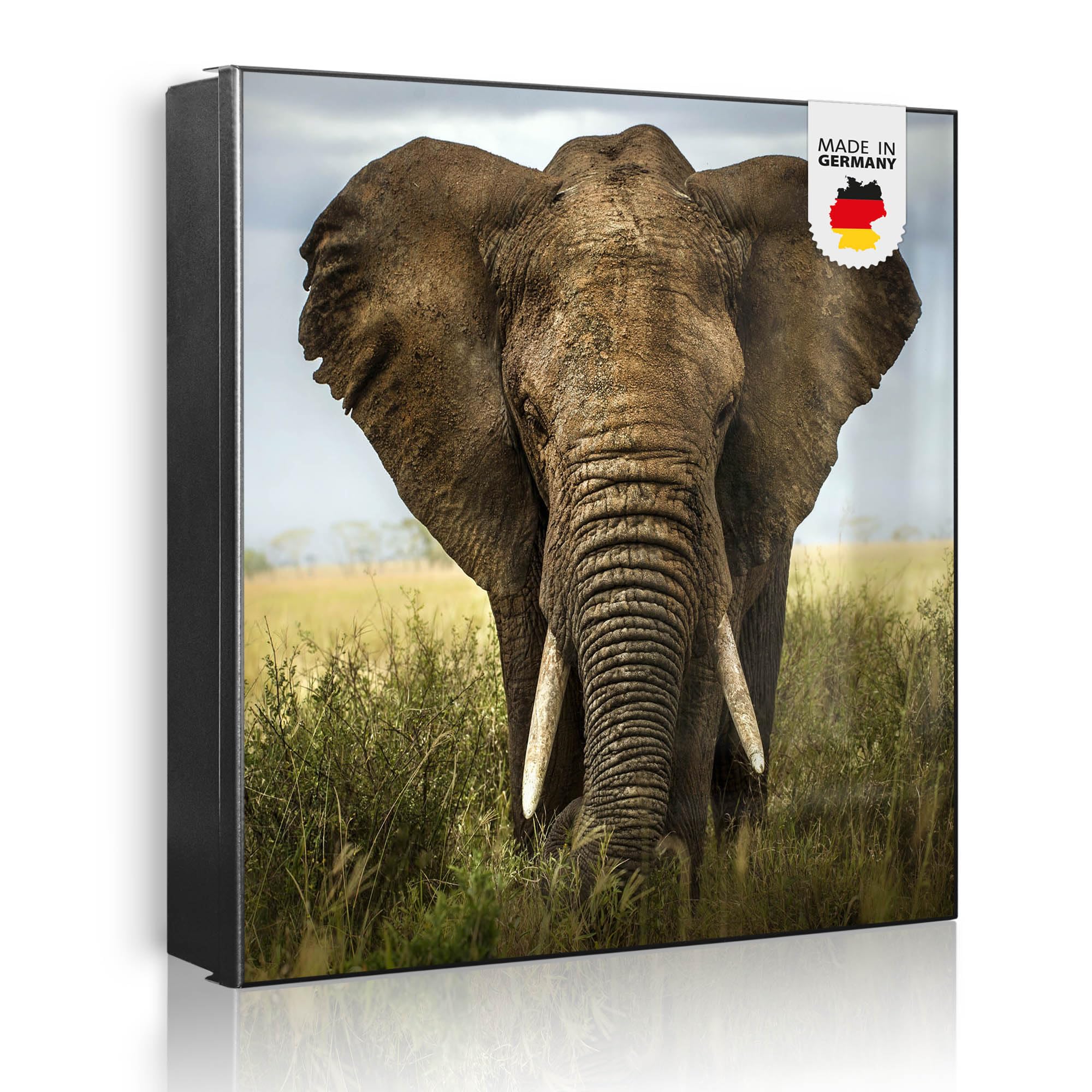 banjado Großer Schlüsselkasten Metall - Schlüsselbox 30x30cm beschreibbarer mit 32 Haken - Schlüsselkasten modern für Schlüsselaufbewahrung - Korpus Schwarz Scharnier Links - Motiv Korbinian