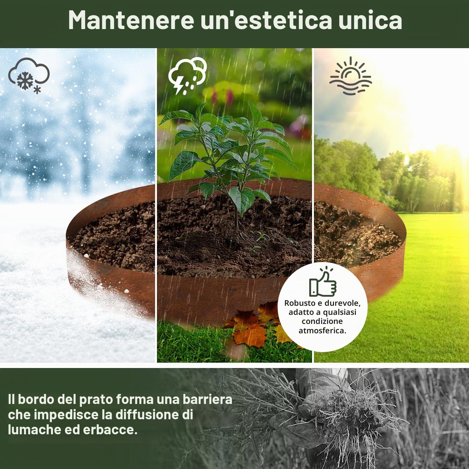 Cortenstahl - Bordo per aiuole in metallo, 10 m, altezza 15,5 cm, in acciaio inox, per piante e aiuole