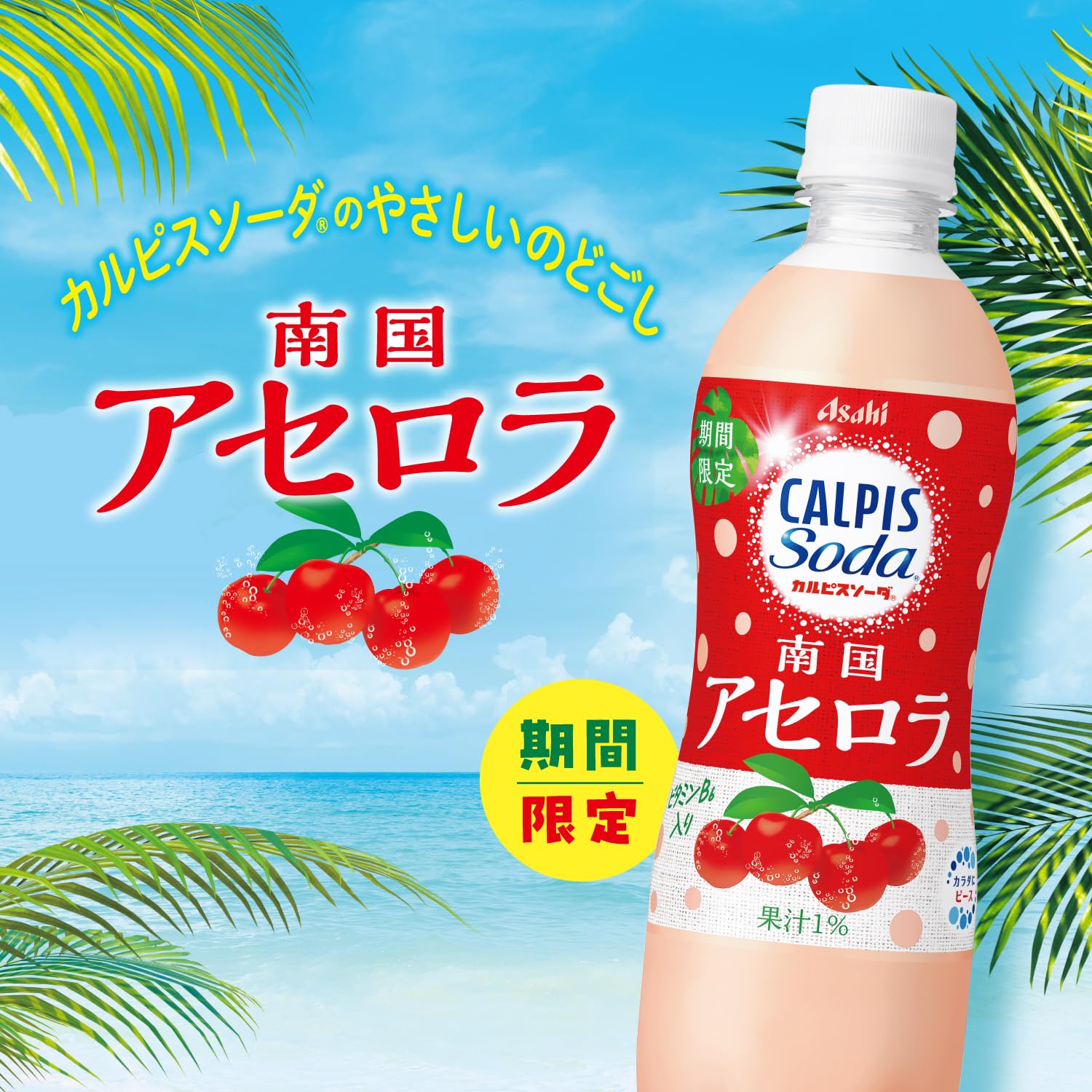 Amazon.co.jp: カルピス カルピスソーダ 南国アセロラ 500ml×24本