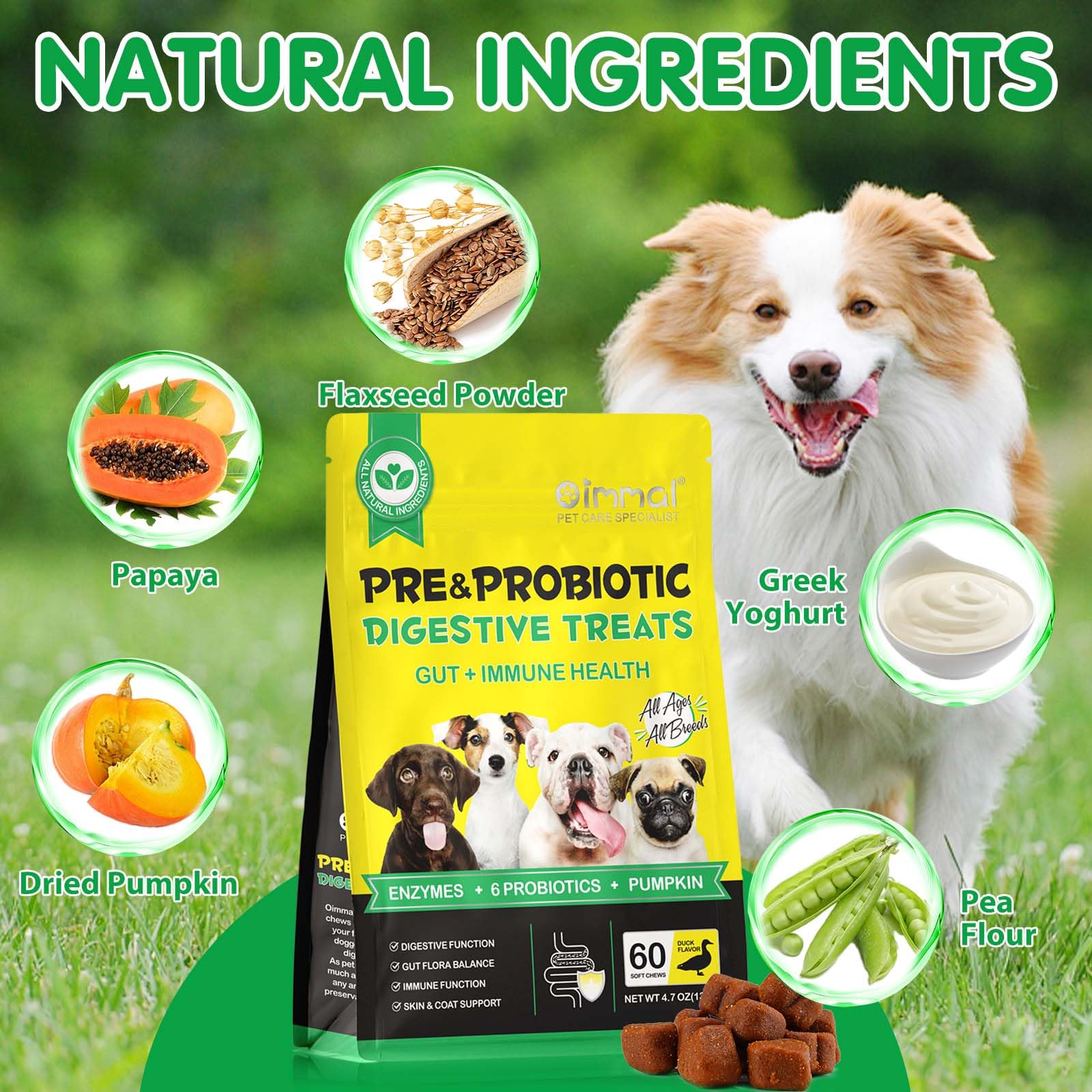Bieyoc Probiotici per Cani, 60 Masticare Probiotici per Cani da Masticare per Enzimi Digestivi, Sistema Immunitario, Probiotici Cane Prurito per Cani di Tutte Le Razze e Taglie