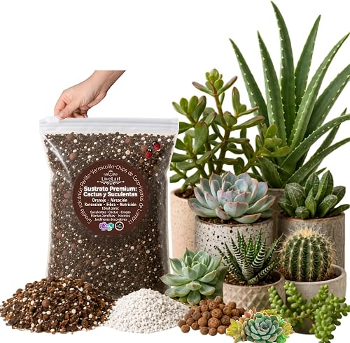 Terreau Cactus et Succulentes Premium LiveLaif