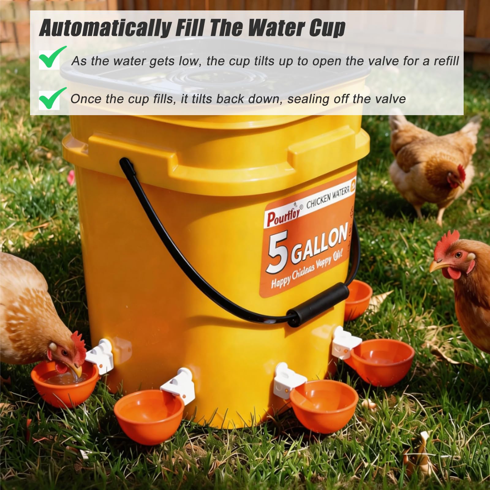 Juego de comedero y bebedero automático de pollo de 5 galones (2 cubos), juego completo real, bebedero grande para aves de corral, tazas de agua y puerto de alimentador, 44 libras/20 L
