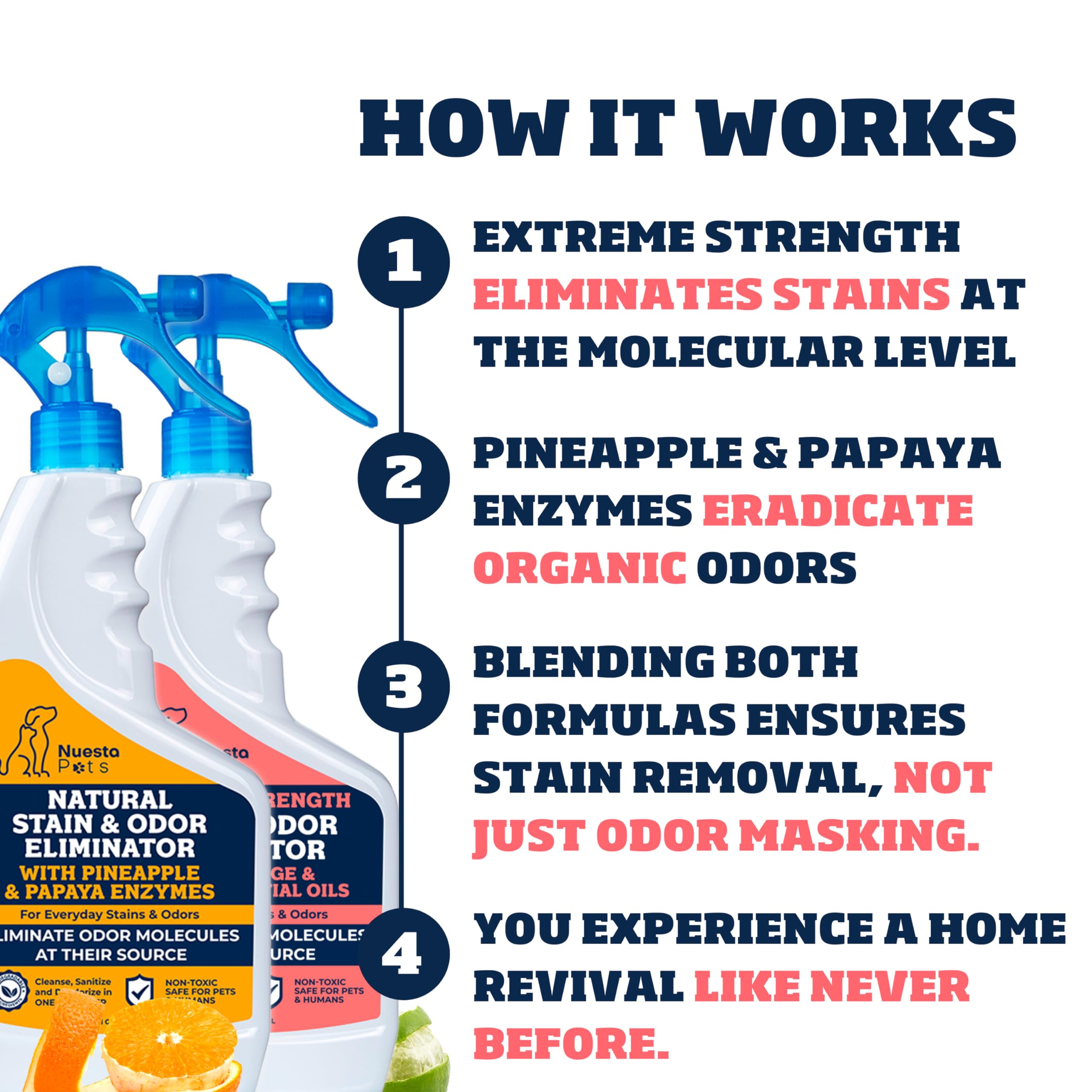 Pet Stain & Odor Combo Pack | Pineapple & Papaya Enzymes | Neutralize Tough Stains & Odors | Extreme Strength Cleaning Formula | Perfect for Indoor Cats & Dogs | 2-pk. 20-oz bottles - Nuesta Pets