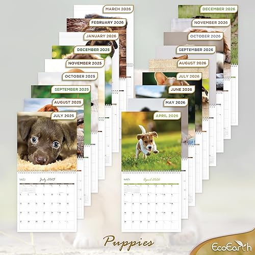 Miniatura 7 de EcoEarth - Biodegradable de 11 x 22 pulgadas - Abierto - Calendario de pared vertical colgante de 18 meses - Julio 2025 - Calendario mensual de