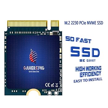 Amazon.com: GAMERKING 1TB M.2 2230 SSD NVMe PCIe Gen 3.0X4