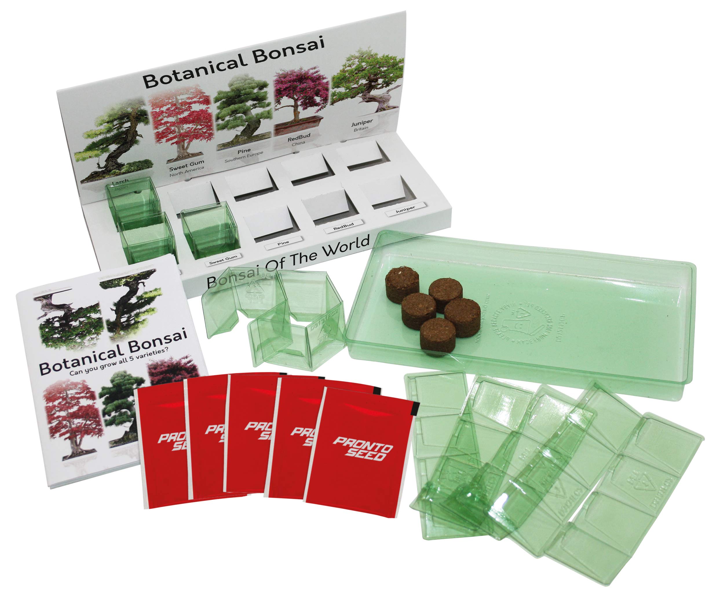 Bonsai Tree Grow Kit with 5 Different Seed Varieties of Bonsai Tree to
