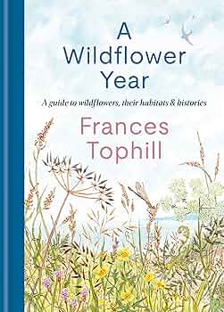 洋書 How to Study Wild Flowers 洋書 How to Study Wild Flowers How to Study Wild Flowers