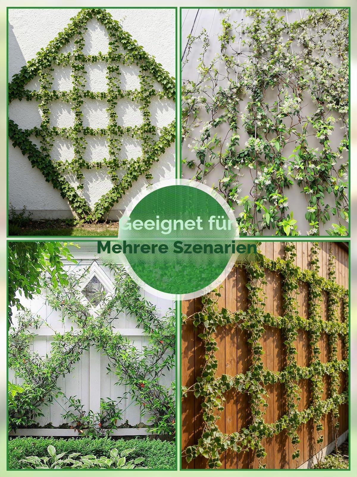 150 Fuß Rankhilfe aus Edelstahl für Kletterpflanzen, Kalolary T316 Edelstahl Drahtgitter Set für Hohe Belastbarkeit Wandmontiertes Kletterkabel Ranksystem Set für Blumen und Gemüse