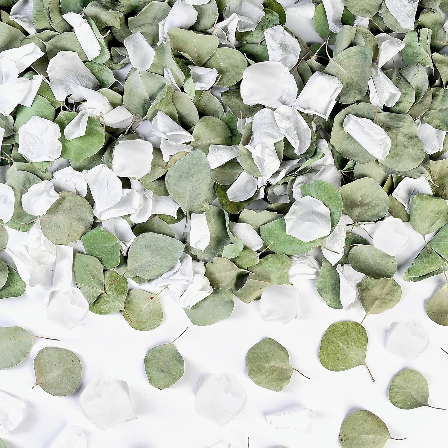 500+PCS Real White Rose Petals & Natural Eucalyptus Leaves, 4.23oz (120g) – Freeze Dried Flower Petals Confetti for Wedding Flower Girl Toss, Aisle Runner, Table Scatter, Bridal Shower Decor