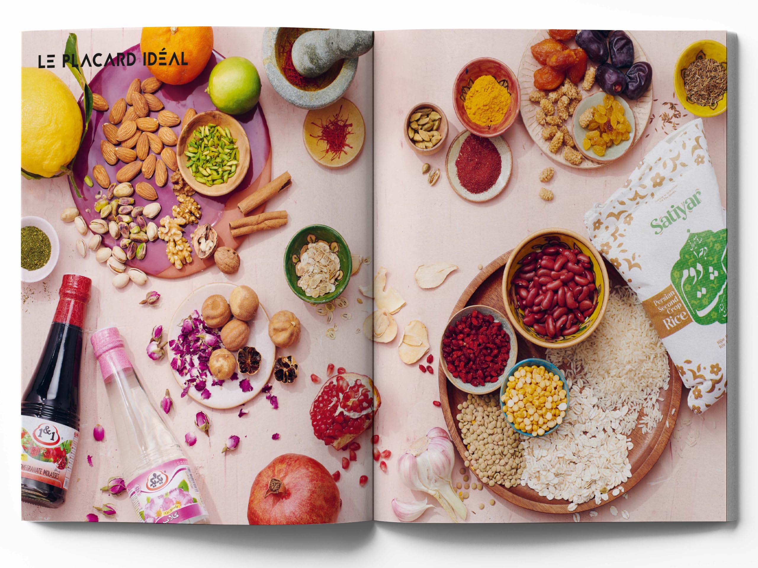 Goûts d'Iran: Recettes & rencontres