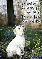 Vista 19 de Glory To Dog Te conseguí un pastel de cumpleaños y estaba delicioso Feliz cumpleaños de La Tarjeta de cumpleaños de perro con sobre de felicitación