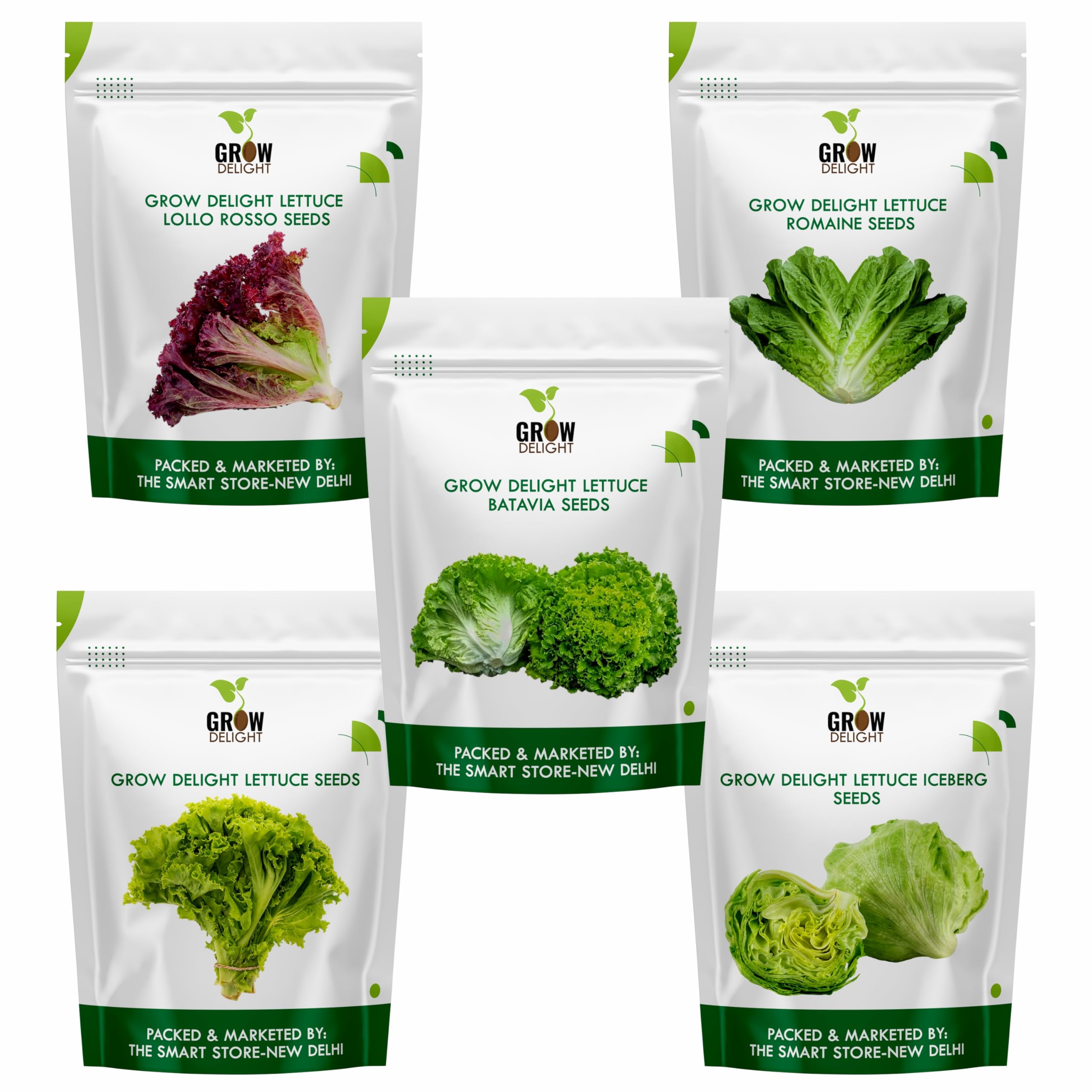 Lettuce Lovers Combo Lettuce Romaine, Batavia, Lollo Rosso, Iceberg And Grand Rapid (250 Seeds Each) Exotic Vegetable Seeds for Home Garden, Perfect for Home Gardening-image-25