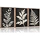 Ausril Black Tan Fern Leaf Framed Canvas Wall Art Set, Minimalist Botanical Wall Decor, Nature Fern Plant Silhouette Wall Painting, Modern Art Print for Living Room, Bedroom, Office 16"x24"x3 Product Image 5