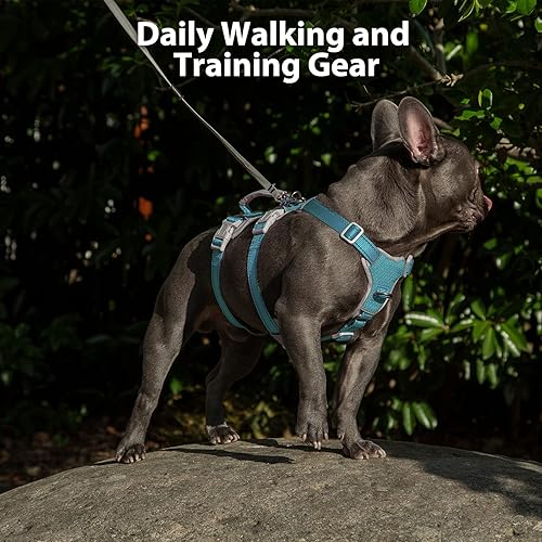 Miniatura 7 de Arnés para perro a prueba de escapes, arnés reflectante sin tirones con asa de elevación, chaleco ajustable para mascotas con clips delanteros y
