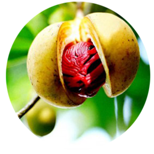 Benefits of Nutmeg App on Amazon Appstore