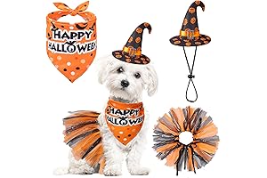 Bandana, Tutu, and Hat: Spooktacular 3-Piece Costume for Your Canine Companion