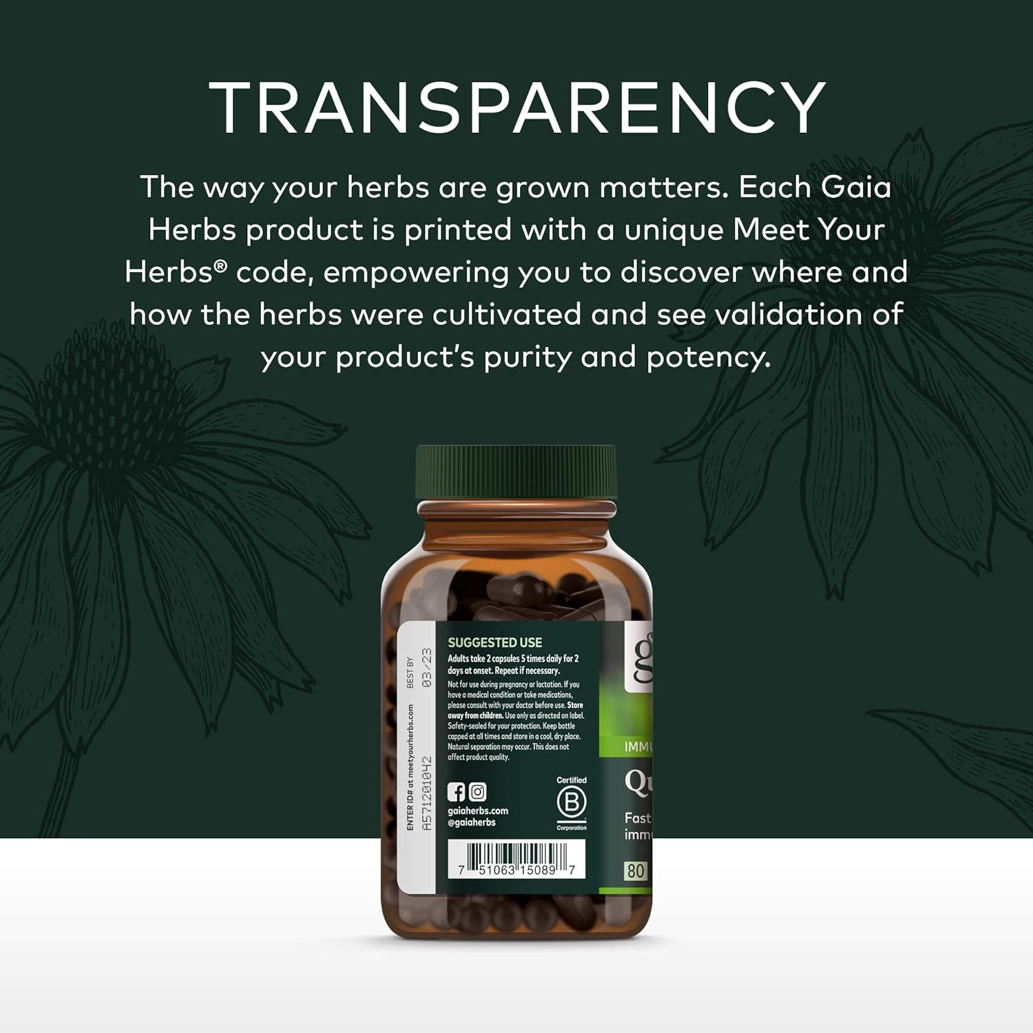 Gaia Herbs Quick Defense - Fast-Acting Immune Support Supplement for Use at Onset of Symptoms - with Echinacea, Black Elderberry, Ginger & Andrographis - 80 Vegan Liquid Phyto-Capsules (8-Day Supply) : Health & Household