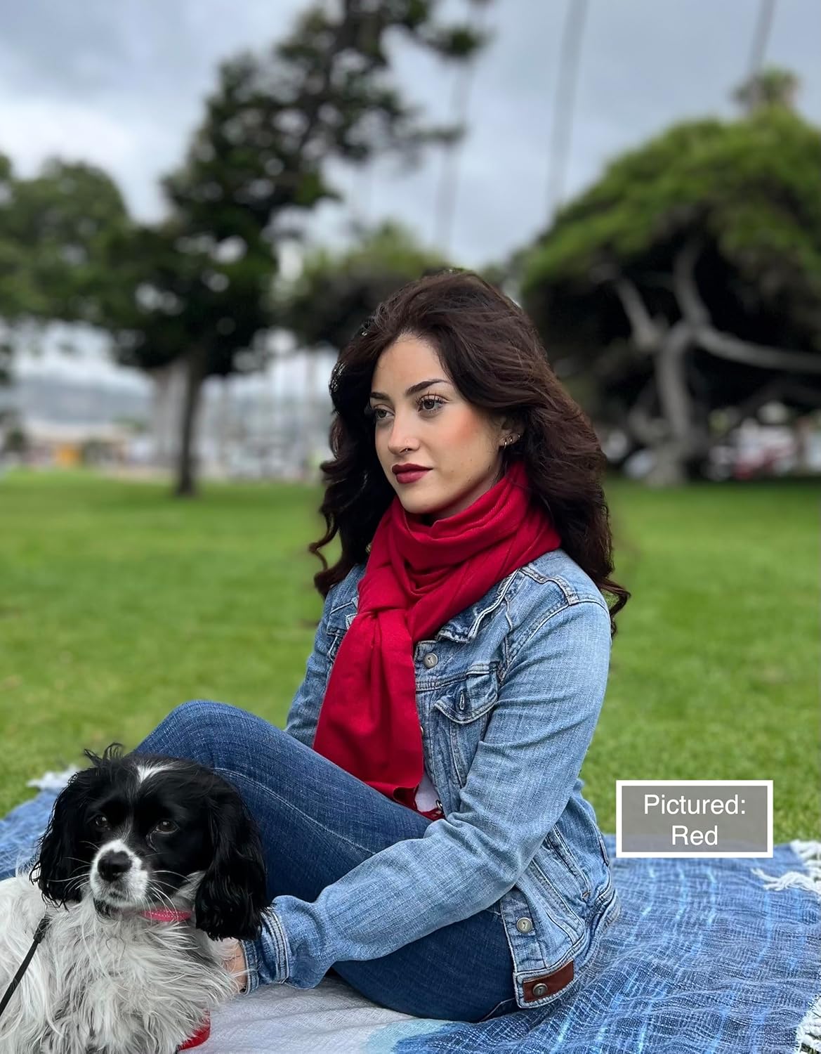 Humble Hilo Soft Wool Scarf or Shawl, Large Winter Wrap Pashmina 74 x 27 - Image 6