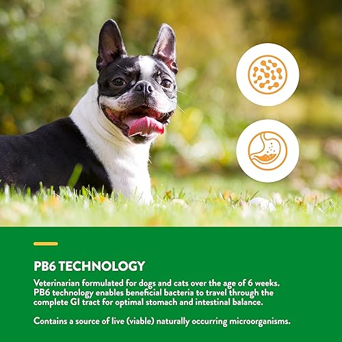 Miniatura 4 de NaturVet Probióticos avanzados y enzimas - Probiótico PB6 Plus Vet Strength  Apoya y equilibra mascotas con estómagos sensibles y problemas