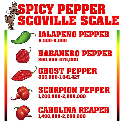 Miniatura 6 de Maní picante con sabor a jalapeño y cheddar, paquete variado de maní cheddar jalapeño, lata de 12 onzas (queso cheddar jalapeño, 3 libras)